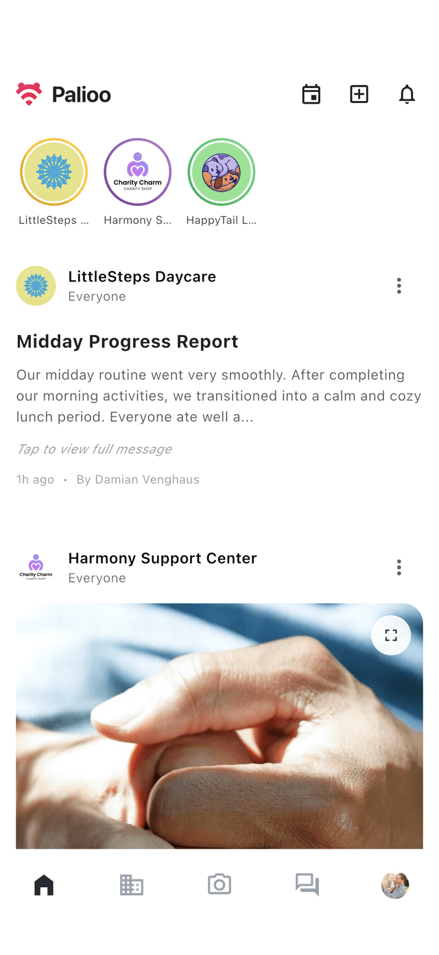 Palioo App - Feed View